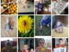 collagemaker_20200508_114215241