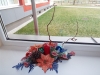 dscf3524