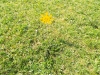 dscf45071