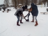 dscf6934