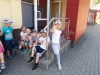 dscf7515